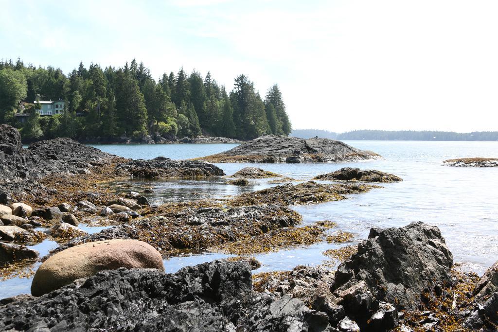 Duffin Cove Resort Tofino Bagian luar foto